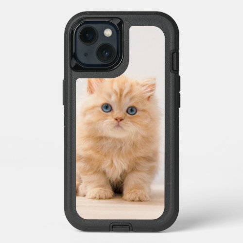 Cutest Baby Animals  A British Longhair Kitten iPhone 13 Case