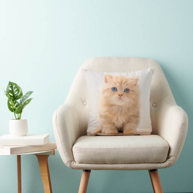 Cutest Baby Animals | A British Longhair Kitten Throw Pillow (Chair)