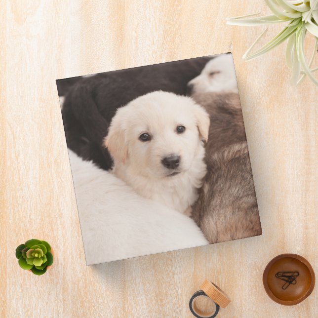 Cutest Baby Animals | A Cute Pile of Puppies 3 Ring Binder (In Situ)