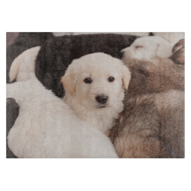 Cutest Baby Animals | A Cute Pile of Puppies Cutting Board (Front)