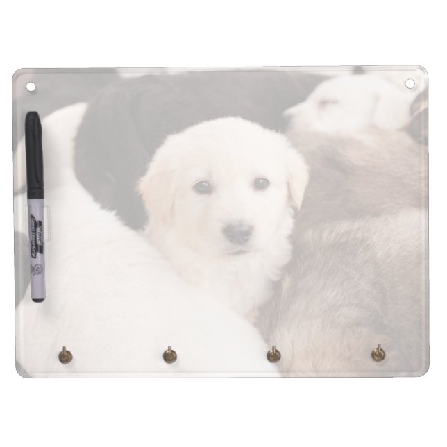 Cutest Baby Animals | A Cute Pile of Puppies Dry Erase Board With Keychain Holder (Front)