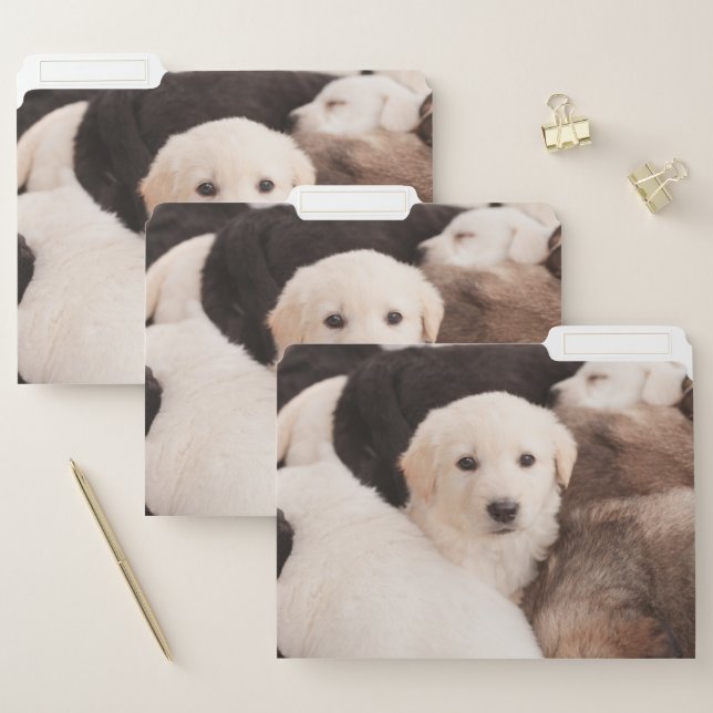 Cutest Baby Animals | A Cute Pile of Puppies File Folder (Set)
