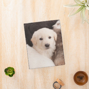 Cutest Baby Animals   A Cute Pile of Puppies Mini Binder