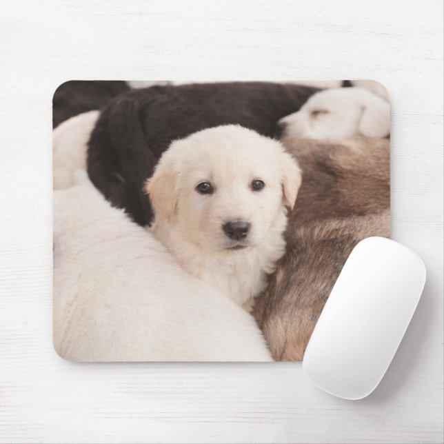 Cutest Baby Animals | A Cute Pile of Puppies Mouse Pad (With Mouse)