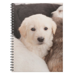 Cutest Baby Animals   A Cute Pile of Puppies Notebook
