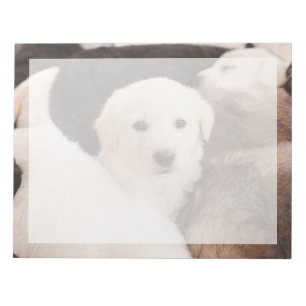 Cutest Baby Animals A Cute Pile of Puppies Notepad