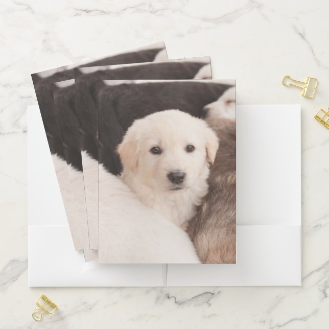 Cutest Baby Animals | A Cute Pile of Puppies Pocket Folder (In Situ)