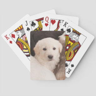 Cutest Baby Animals A Cute Pile of Puppies Poker Cards