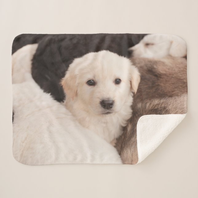 Cutest Baby Animals | A Cute Pile of Puppies Sherpa Blanket (Front (Horizontal))