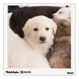 Cutest Baby Animals A Cute Pile of Puppies Wall Decal