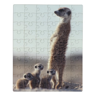 Cutest Baby Animals A Family of Meerkats Jigsaw Puzzle