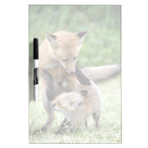 Cutest Baby Animals Adorable Fox Kit & Mama Dry Erase Board