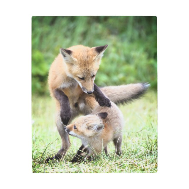 Cutest Baby Animals | Adorable Fox Kit & Mama Metal Print (Front)