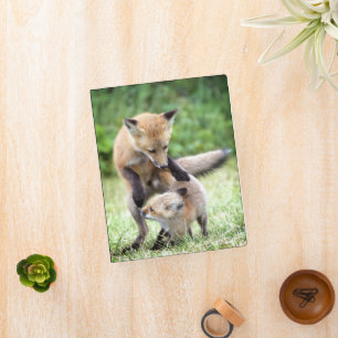 Cutest Baby Animals Adorable Fox Kit & Mama Mini Binder