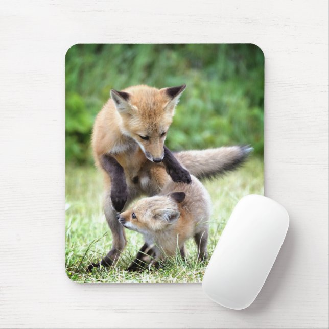 Cutest Baby Animals | Adorable Fox Kit & Mama Mouse Pad (With Mouse)