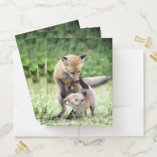 Cutest Baby Animals Adorable Fox Kit & Mama Pocket Folder