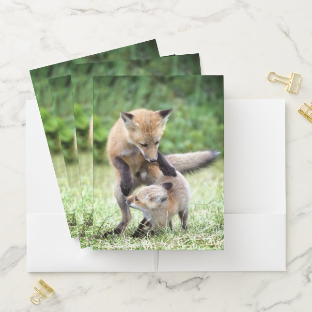 Cutest Baby Animals | Adorable Fox Kit & Mama Pocket Folder (In Situ)