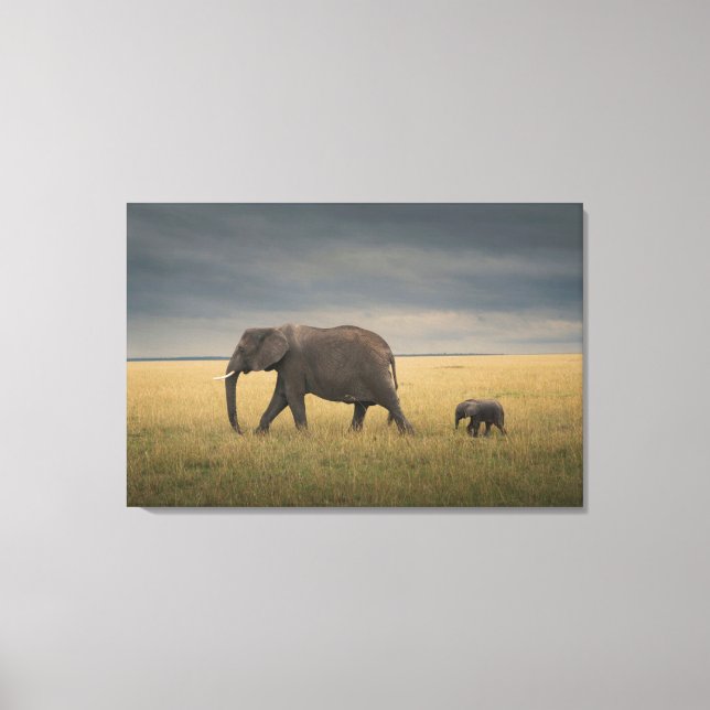 Cutest Baby Animals | African Elephant Family Canvas Print (Front)