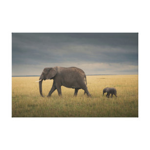 Cutest Baby Animals   African Elephant Family Canvas Print