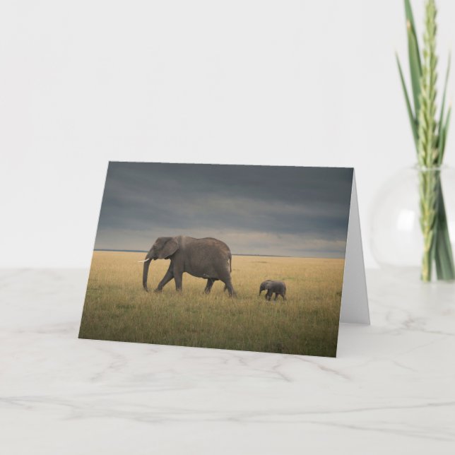 Cutest Baby Animals | African Elephant Family Card (Front)