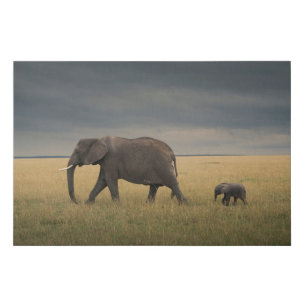 Cutest Baby Animals   African Elephant Family Faux Canvas Print