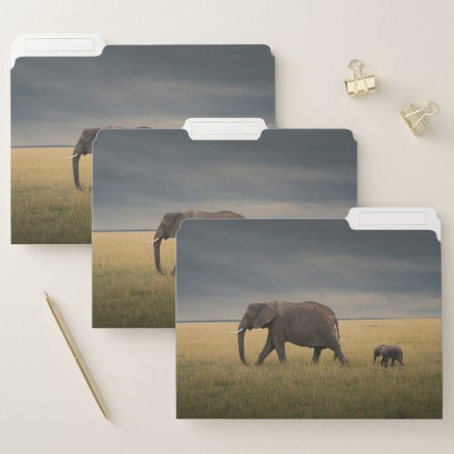 Cutest Baby Animals  African Elephant Family File Folder