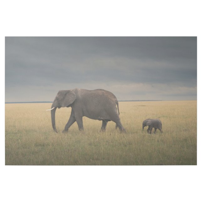 Cutest Baby Animals | African Elephant Family Gallery Wrap (Front)