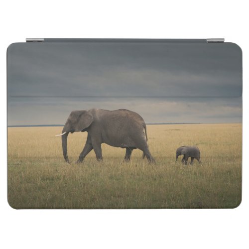 Cutest Baby Animals  African Elephant Family iPad Air Cover