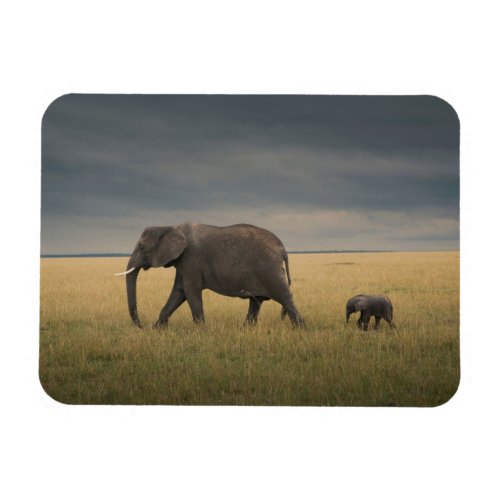 Cutest Baby Animals  African Elephant Family Magnet