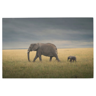 Cutest Baby Animals African Elephant Family Metal Print
