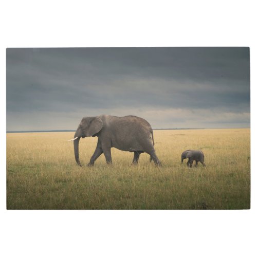 Cutest Baby Animals  African Elephant Family Metal Print