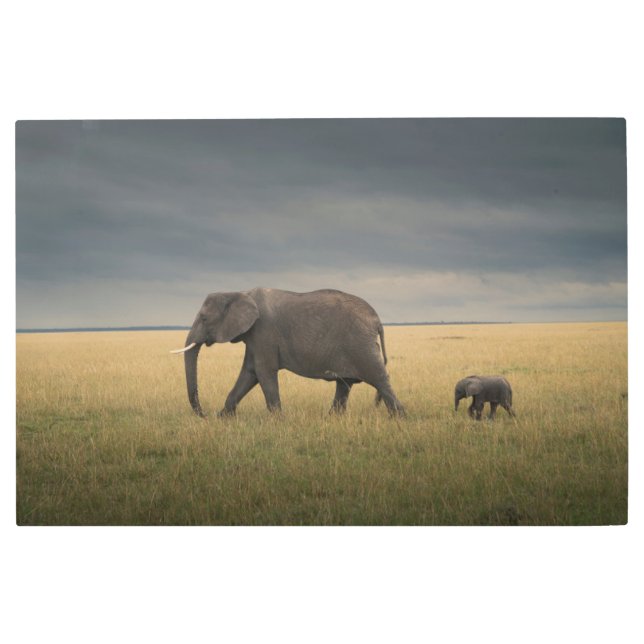 Cutest Baby Animals | African Elephant Family Metal Print (Front)