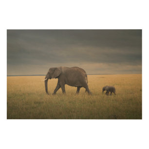 Cutest Baby Animals African Elephant Family Wood Wall Art