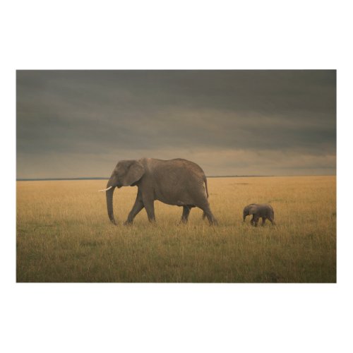 Cutest Baby Animals  African Elephant Family Wood Wall Art