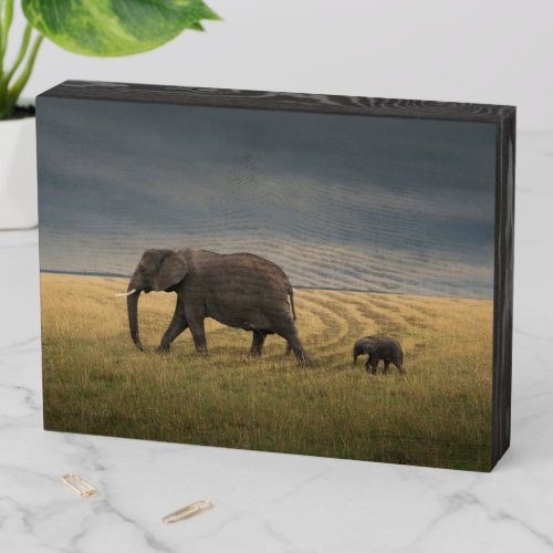 Cutest Baby Animals  African Elephant Family Wooden Box Sign
