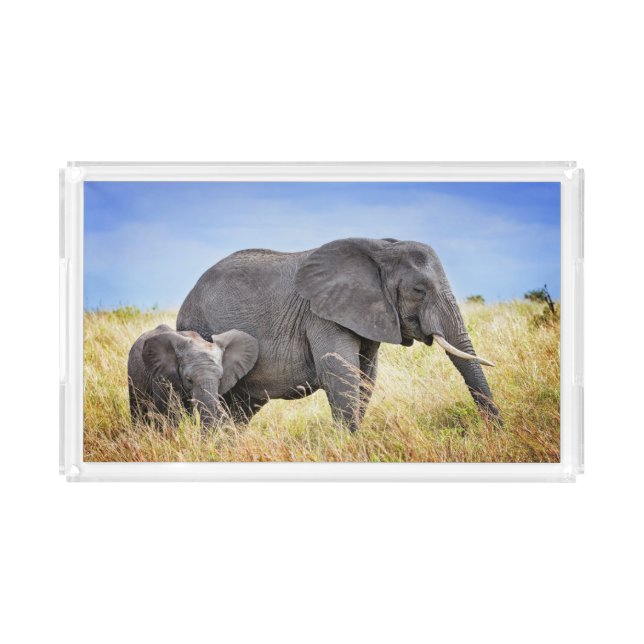 Cutest Baby Animals | African Elephant & Mother Acrylic Tray (Front)
