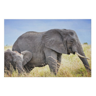 Cutest Baby Animals African Elephant & Mother Faux Canvas Print