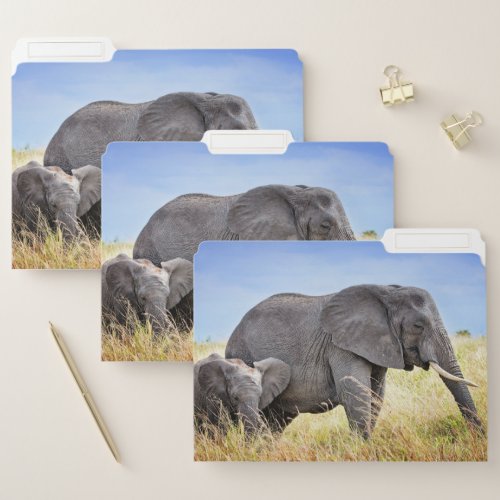 Cutest Baby Animals  African Elephant  Mother File Folder