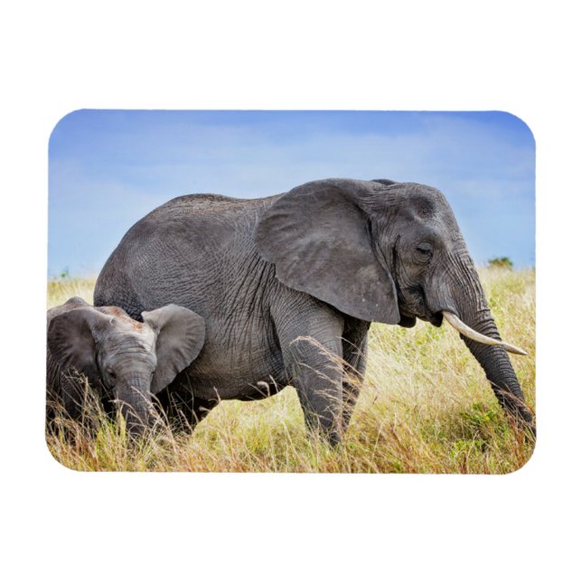 Cutest Baby Animals | African Elephant & Mother Magnet (Horizontal)
