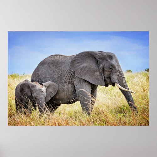 Cutest Baby Animals  African Elephant  Mother Poster
