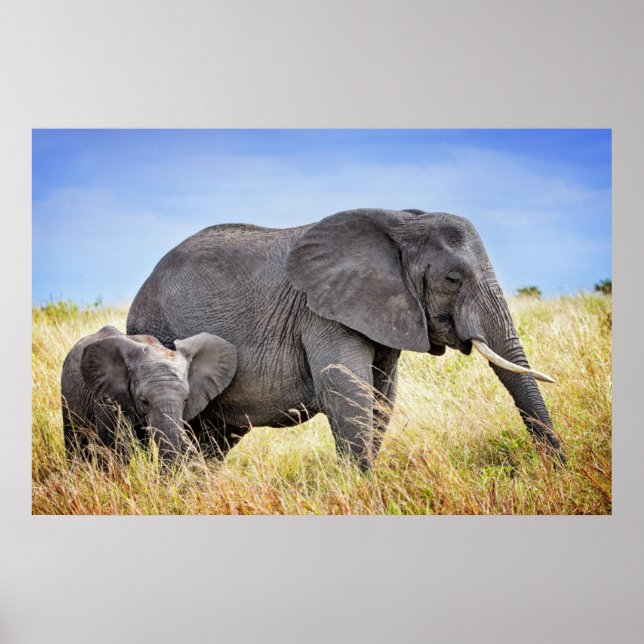 Cutest Baby Animals | African Elephant & Mother Poster (Front)