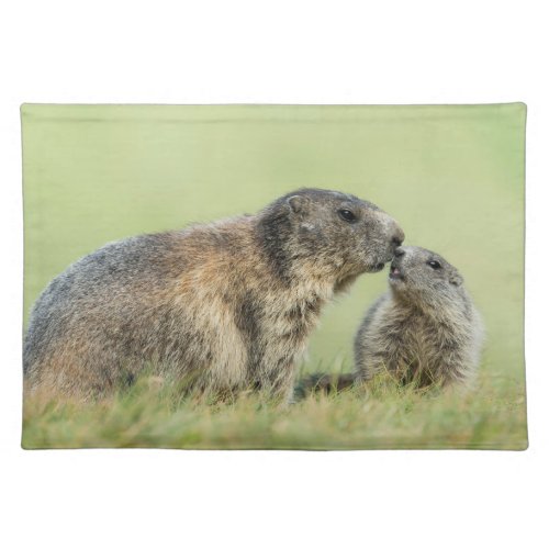 Cutest Baby Animals  Alpine Marmot Family Cloth Placemat