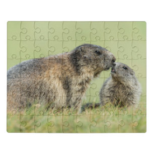 Cutest Baby Animals Alpine Marmot Family Jigsaw Puzzle