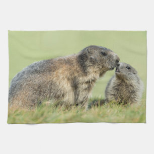 Cutest Baby Animals Alpine Marmot Family Kitchen Towel