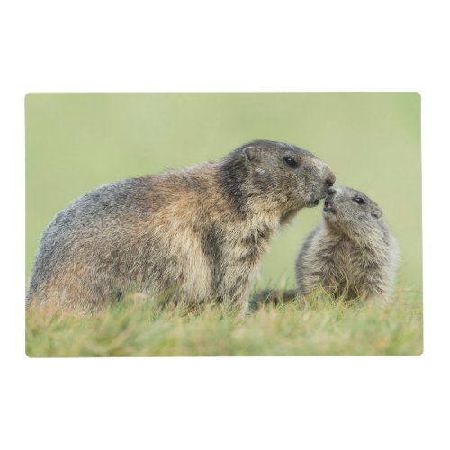 Cutest Baby Animals  Alpine Marmot Family Placemat