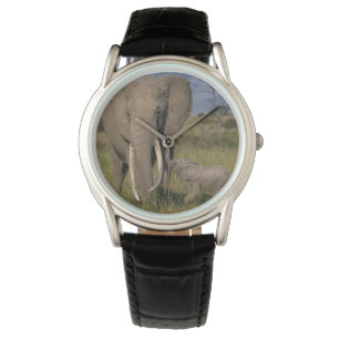 Cutest Baby Animals Amama Elephant With Baby Watch