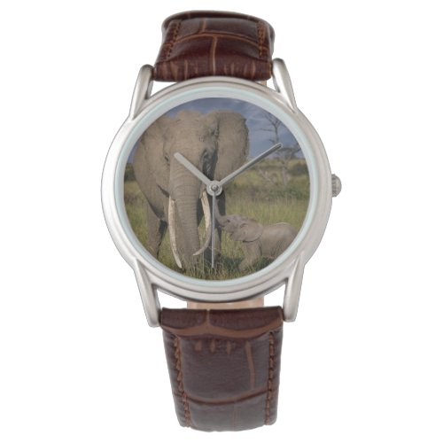 Cutest Baby Animals  Amama Elephant With Baby Watch