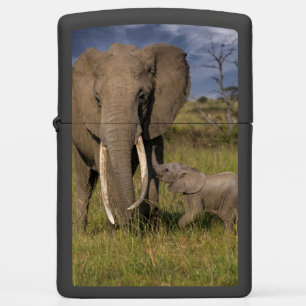 Cutest Baby Animals Amama Elephant With Baby Zippo Lighter