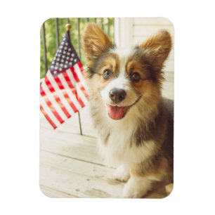 Cutest Baby Animals American Flag Corgi Magnet