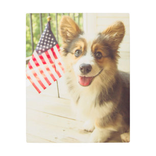 Cutest Baby Animals   American Flag Corgi Metal Print